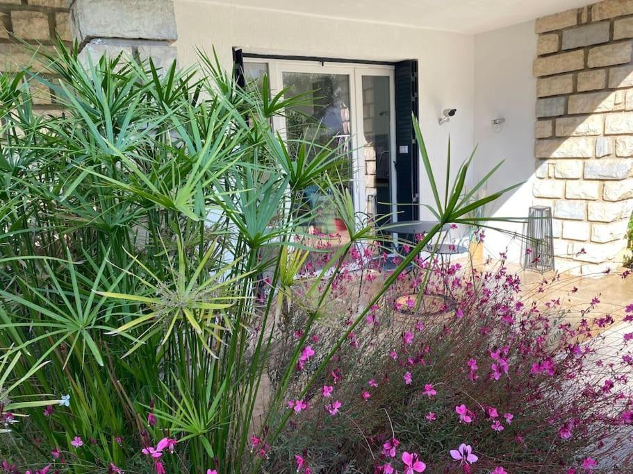 Apartment Pause Au Paradis Sorgues
